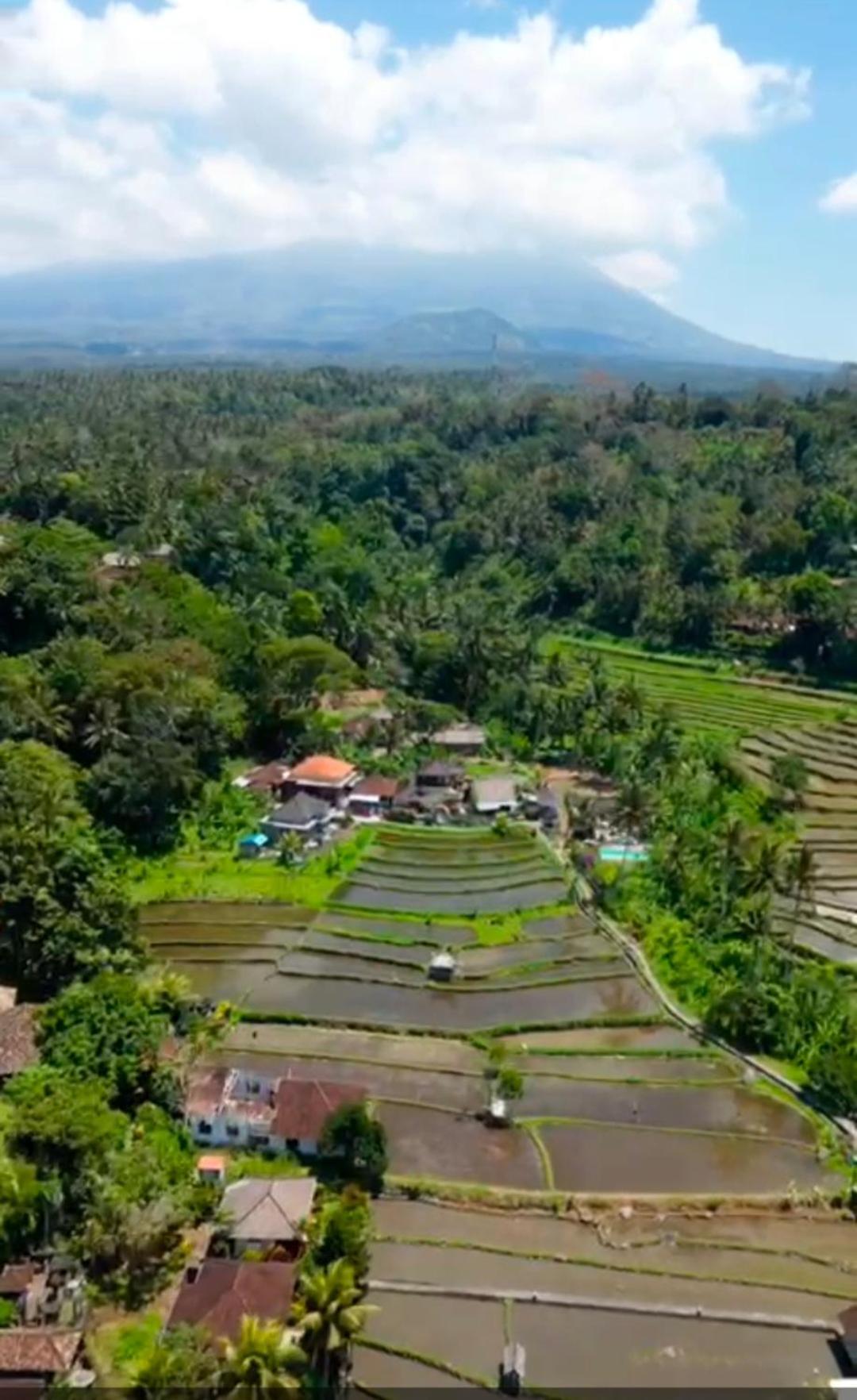 Dau Homestay Karangasem  Bagian luar foto