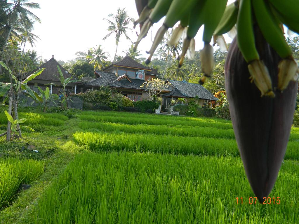 Dau Homestay Karangasem  Bagian luar foto