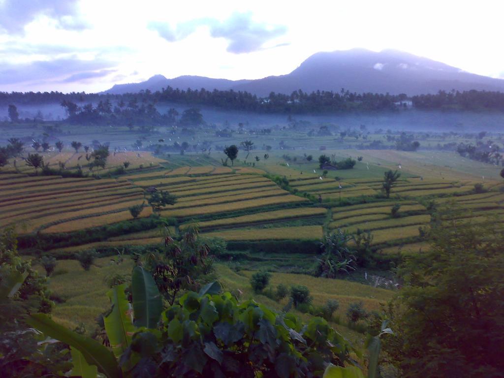 Dau Homestay Karangasem  Bagian luar foto